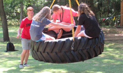 Tire Swing